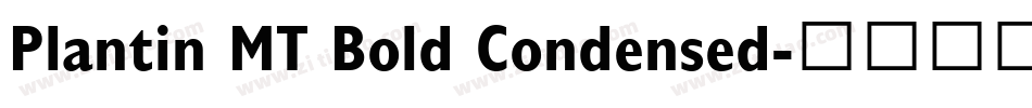 Plantin MT Bold Condensed字体转换